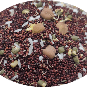 Sprouted Multigrain powder with nuts [200 grams]